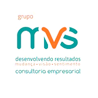 MVS Consulting